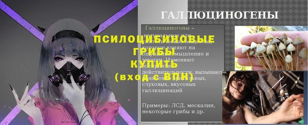 бошки Абинск