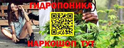прущие крисы Северобайкальск