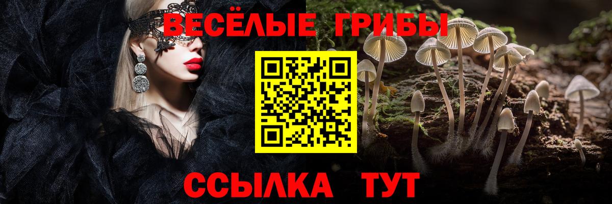 Псилоцибиновые грибы мицелий Подольск