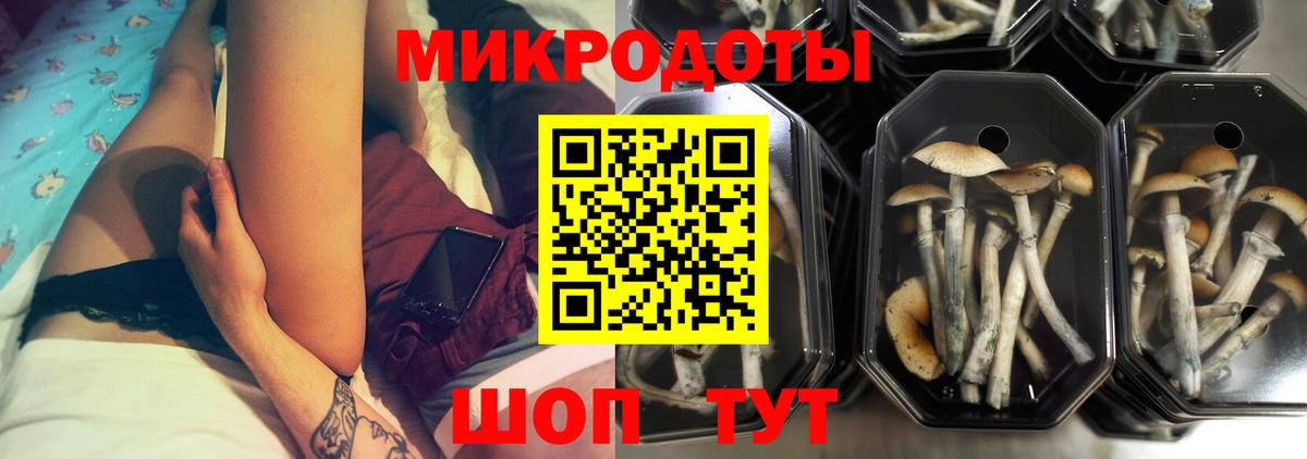 Подольск  Псилоцибиновые грибы Cubensis  купить   Вход с VPN 